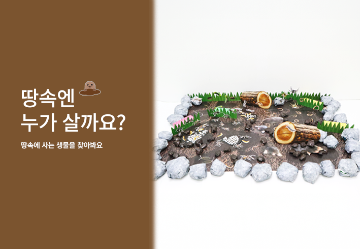 비주얼 이미지