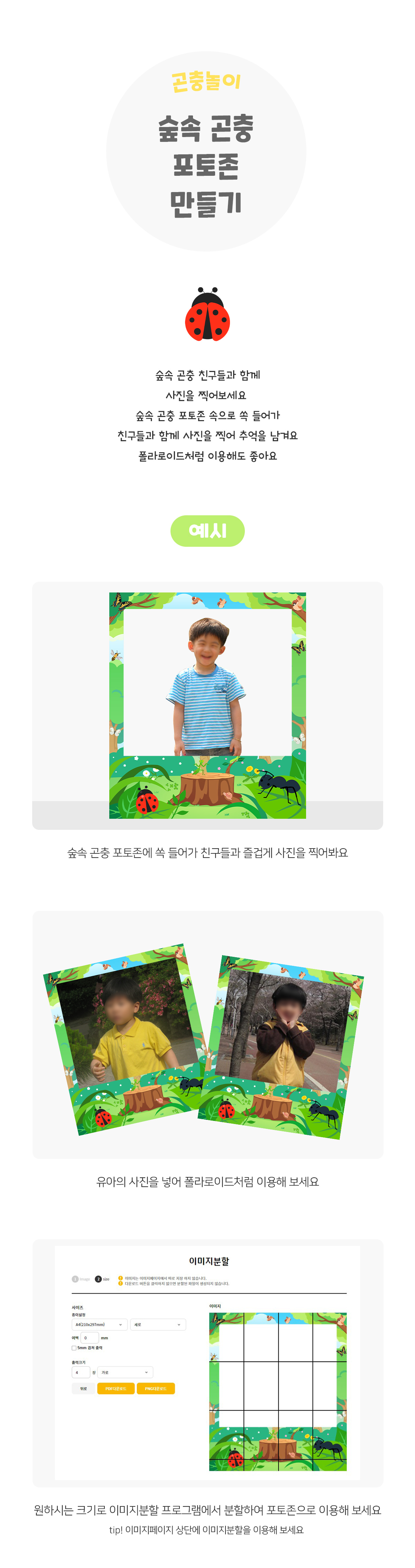 숲속곤충포토존만들기