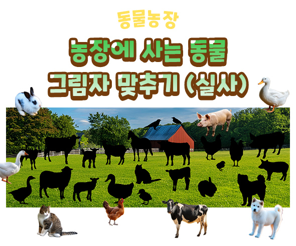 농장에사는동물그림자맞추기(실사)