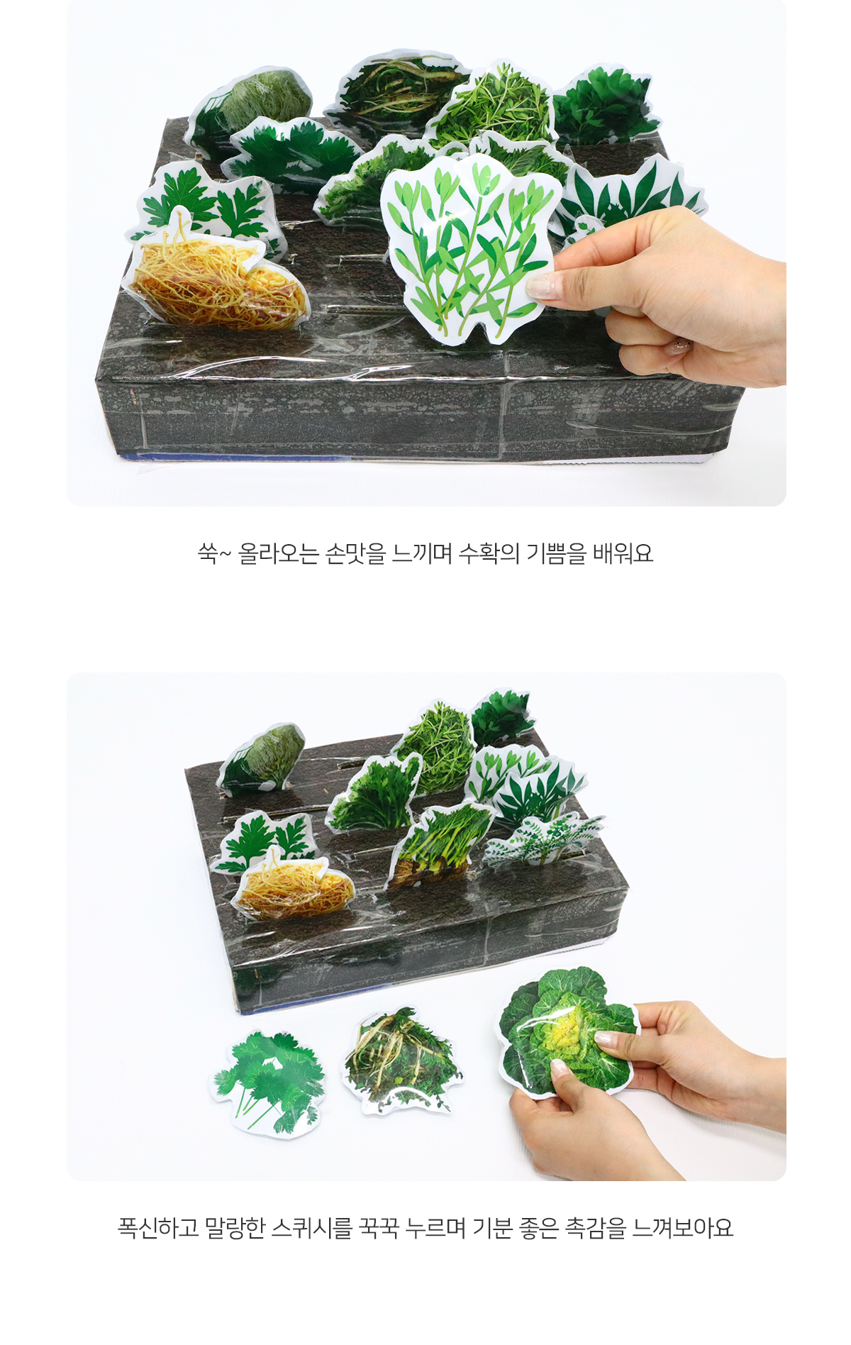 fe8ad886e7dd0a3f55bde1965632db24_1774935493_6165.jpg fe8ad886e7dd0a3f55bde1965632db24_1774935493_6165.jpg