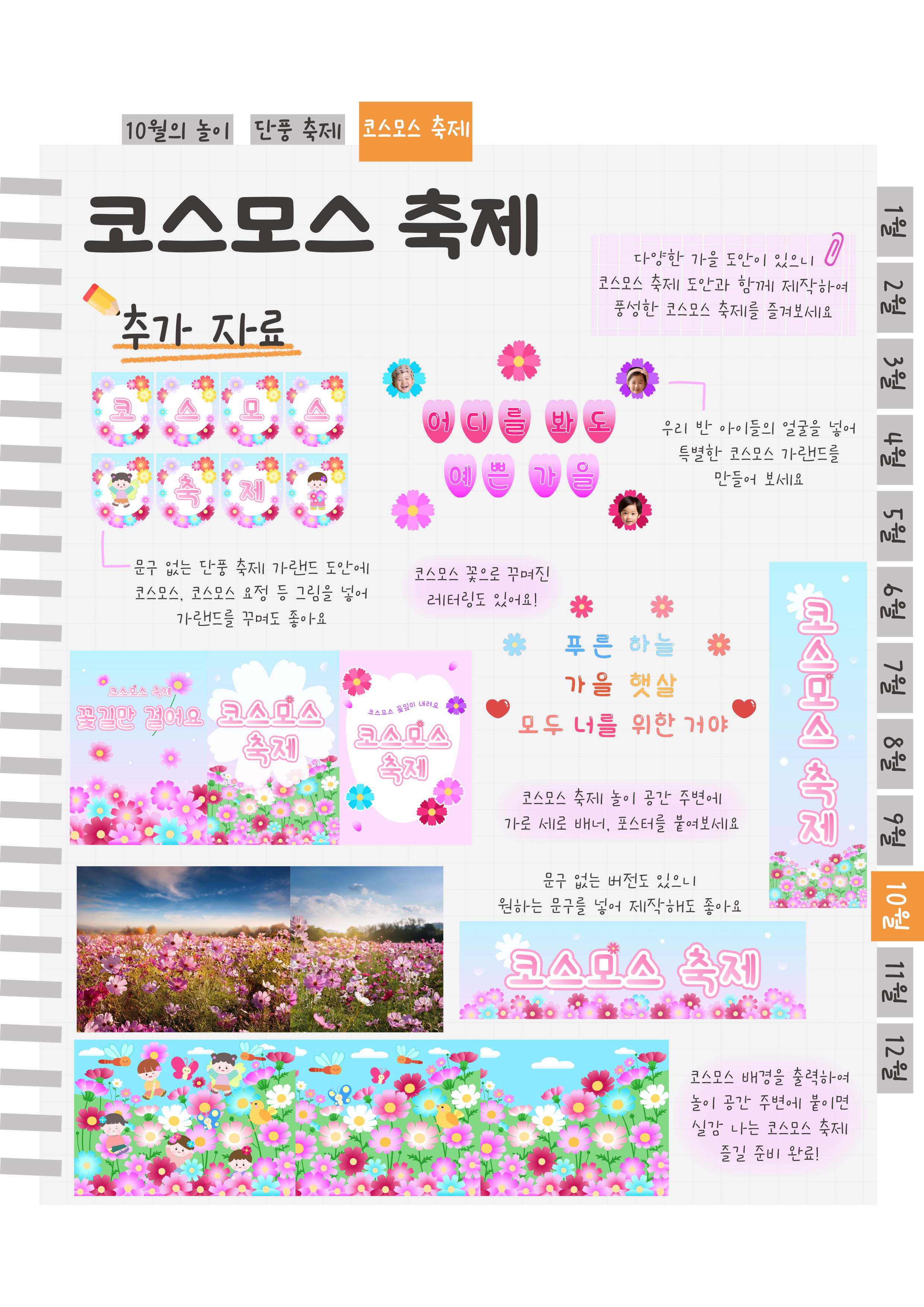 15추가자료코스모스.png