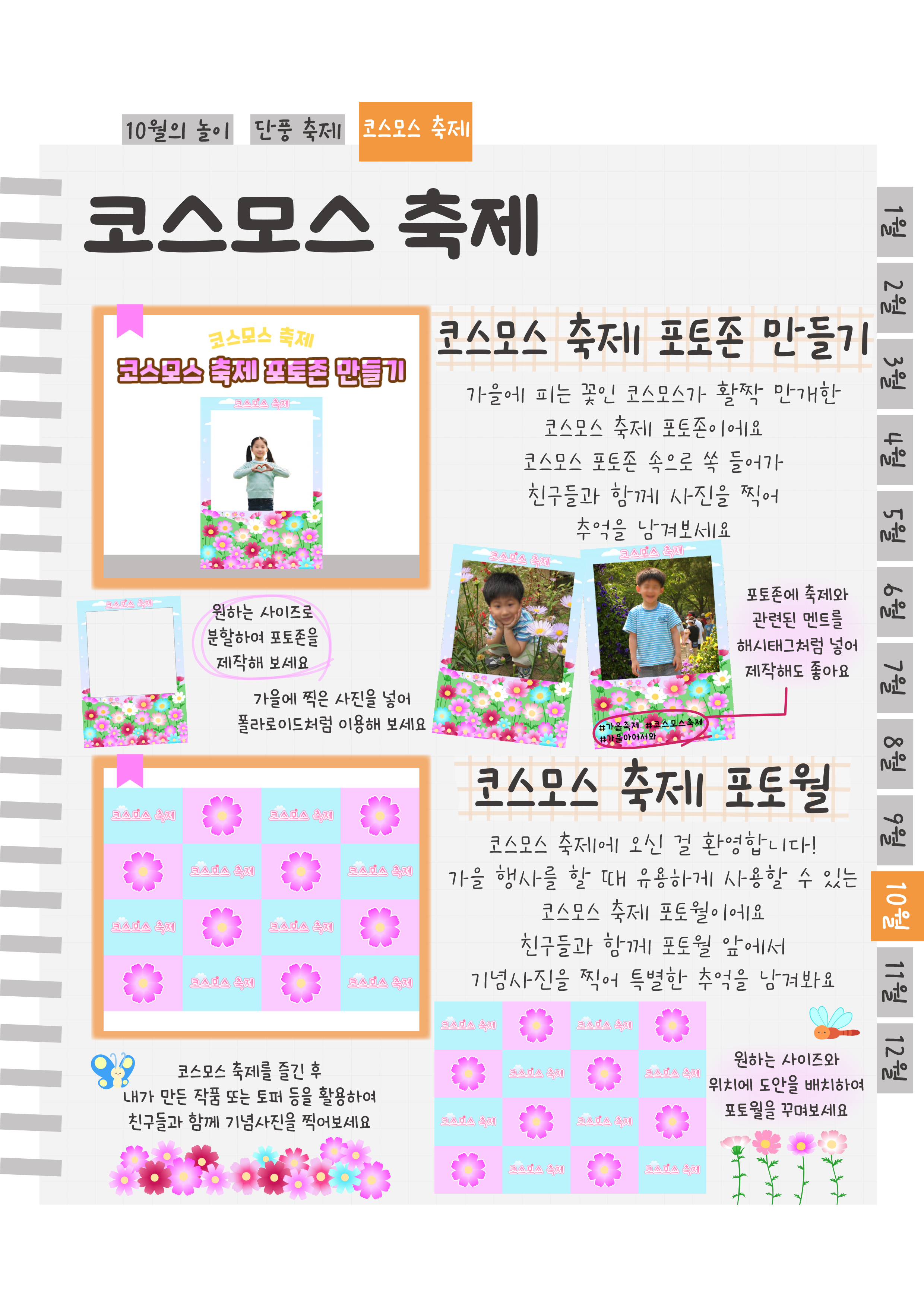 14코스모스포토존,포토월.png