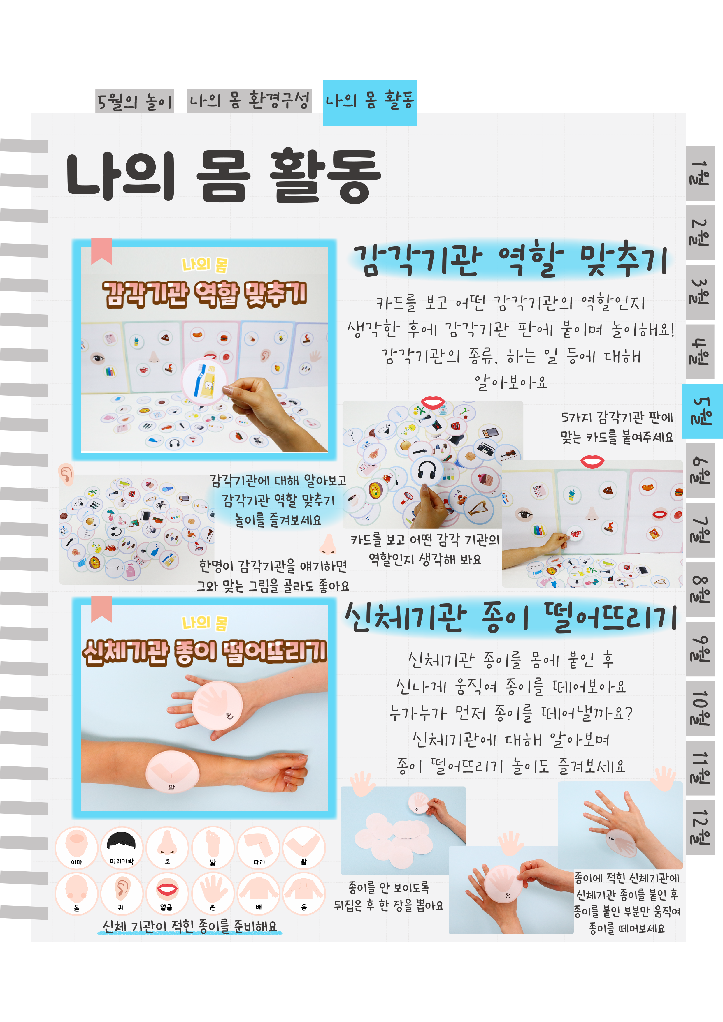 8감각,신체종이.png
