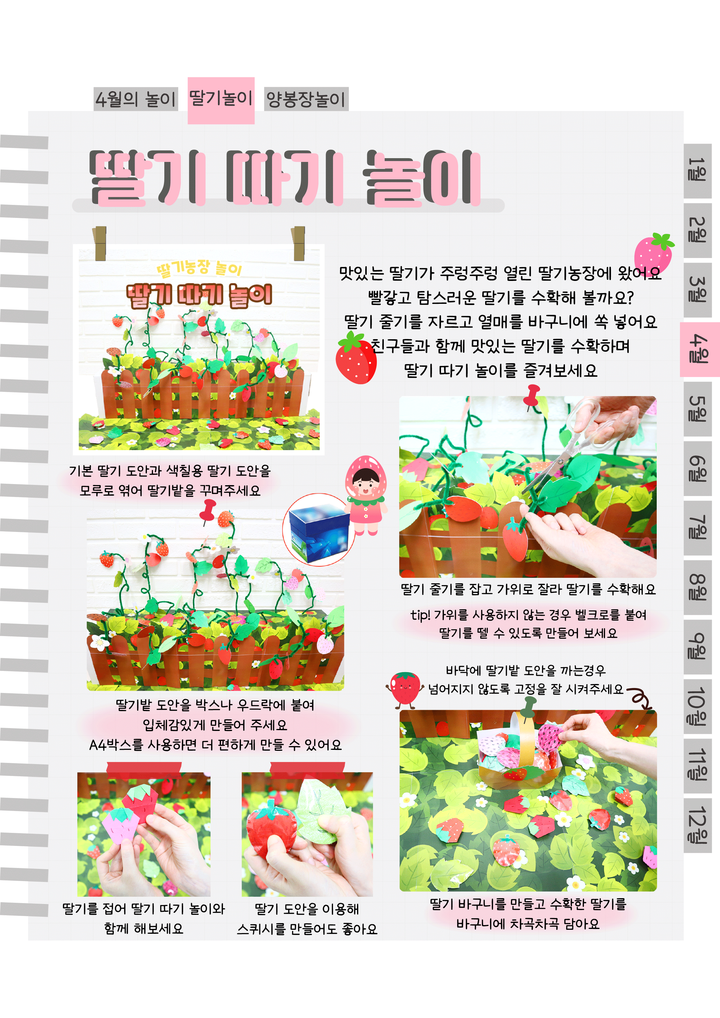 5딸기수확.png