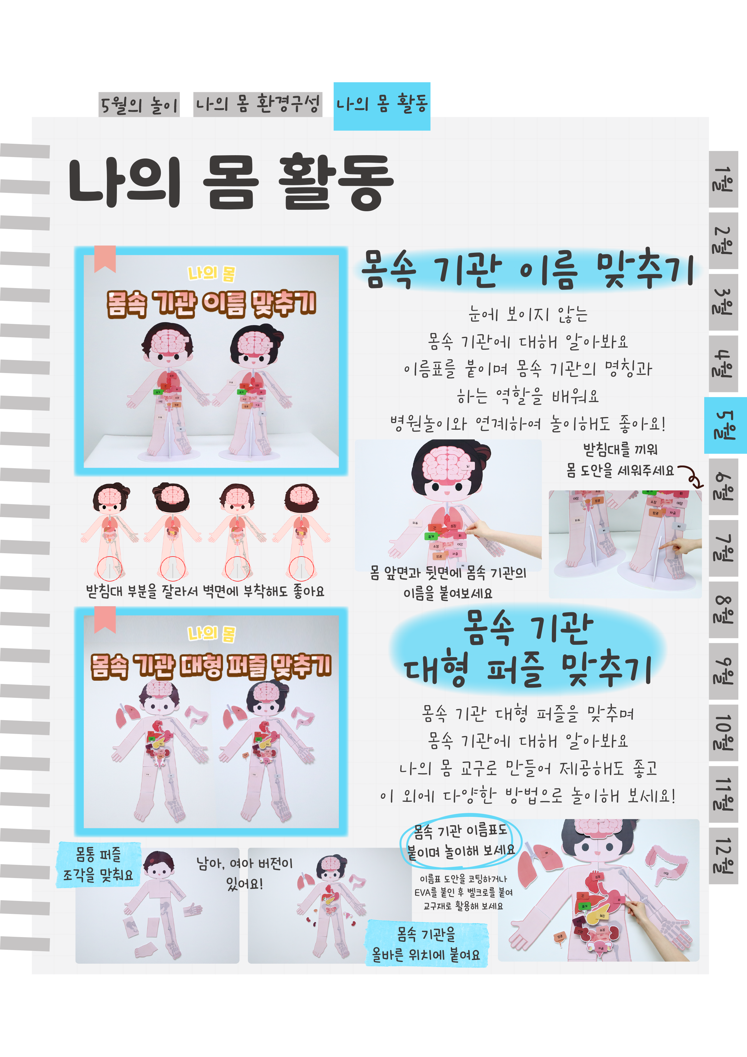 12몸속기관이름,대형퍼즐.png
