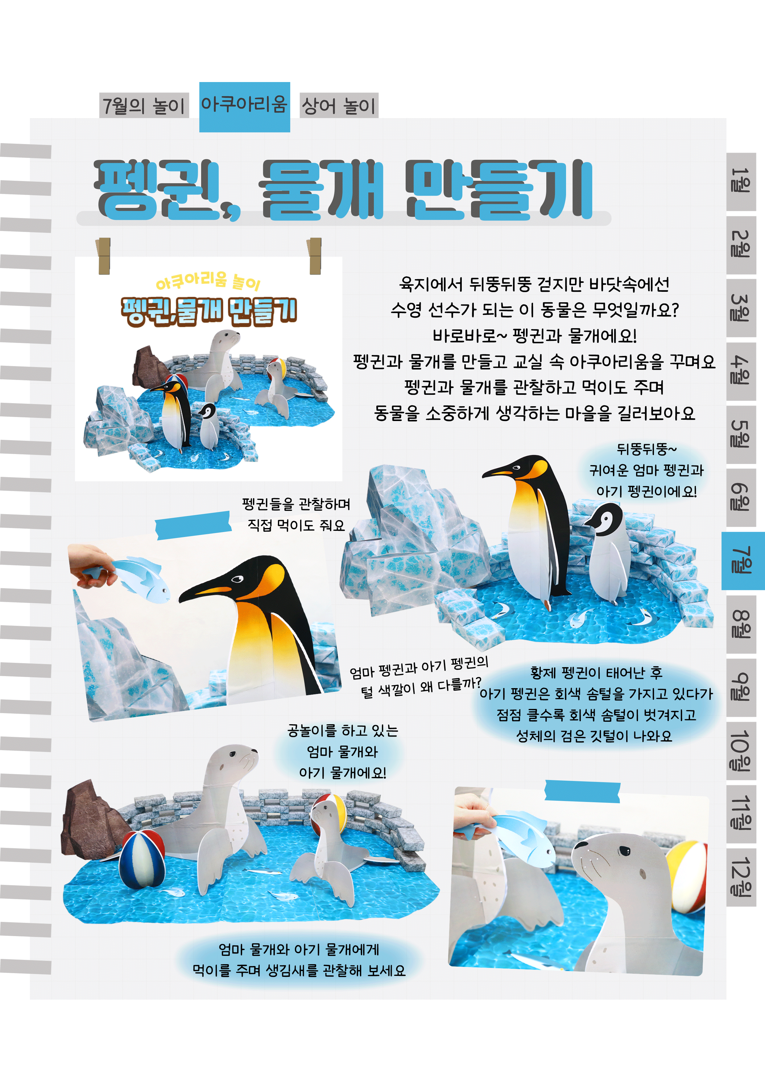 3펭귄,물개.png