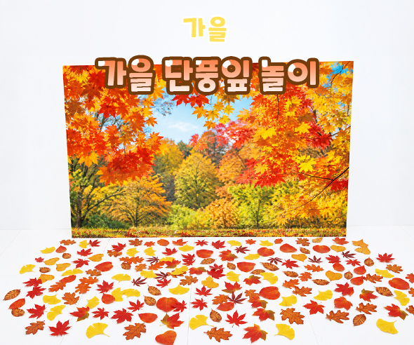 가을 단풍잎 놀이