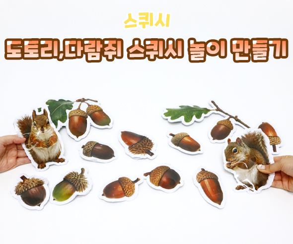 도토리, 다람쥐 스퀴시 놀이 만들기
