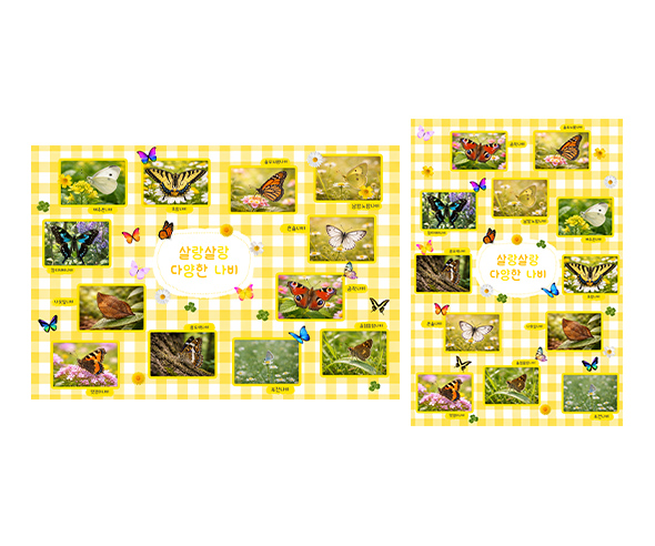 살랑살랑 다양한 나비