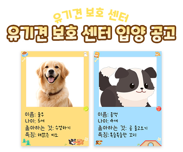 유기견 보호 센터 입양 공고