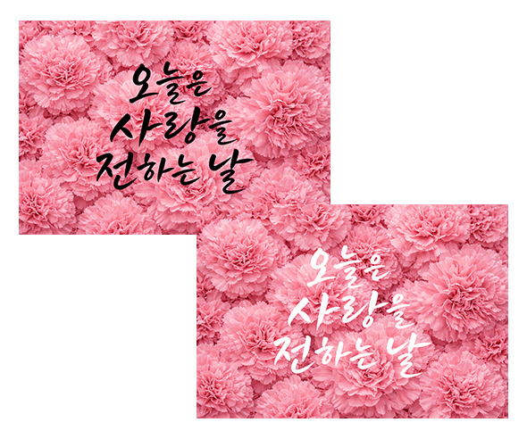 어버이날 카네이션 배경