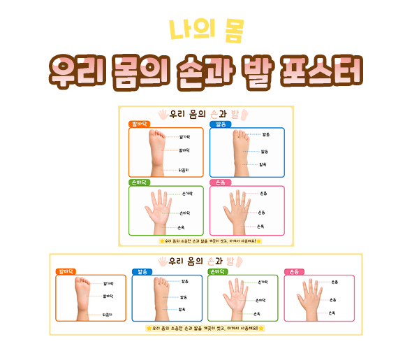 우리 몸의 손과 발 포스터