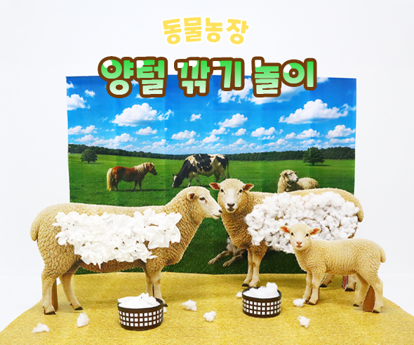 양털 깎기 놀이