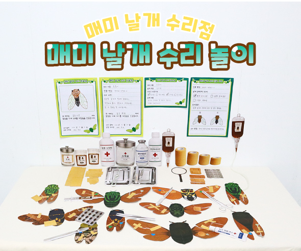매미 날개 수리 놀이