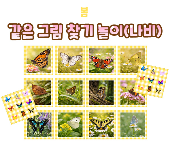 같은 그림 찾기 놀이 (나비)