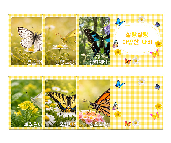 살랑살랑 다양한 나비 카드