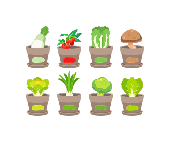 채소 화분 이름표