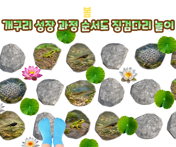 개구리 성장 과정 순서도 징검다리 놀이