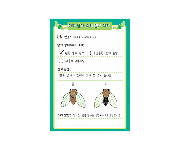 매미 날개 수리 진료 차트