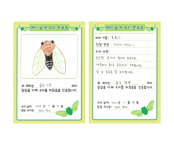 매미 날개 수리 완료증