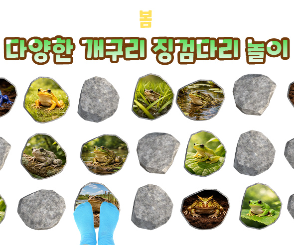 다양한 개구리 징검다리 놀이