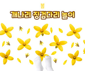 개나리 징검다리 놀이