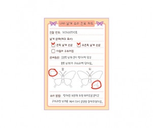 나비 날개 수리 진료 차트