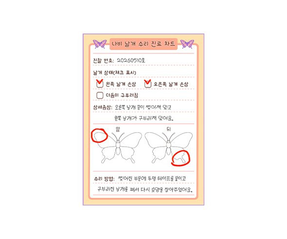 나비 날개 수리 진료 차트