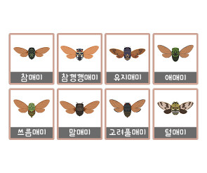 매미 액자