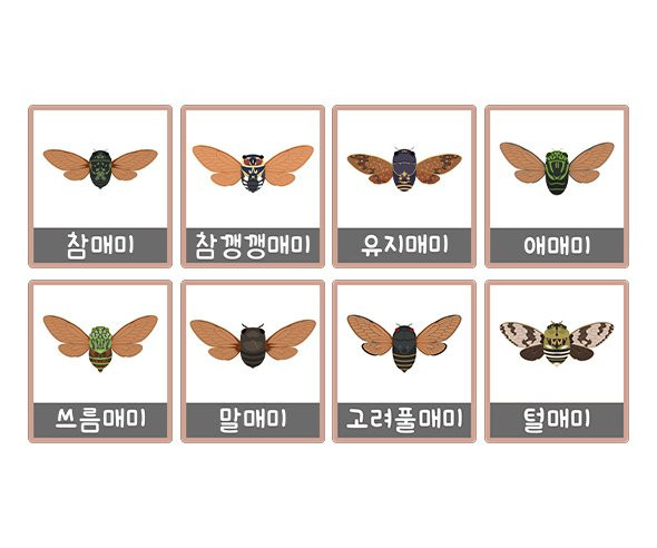 매미 액자