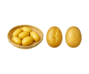 삶은 감자