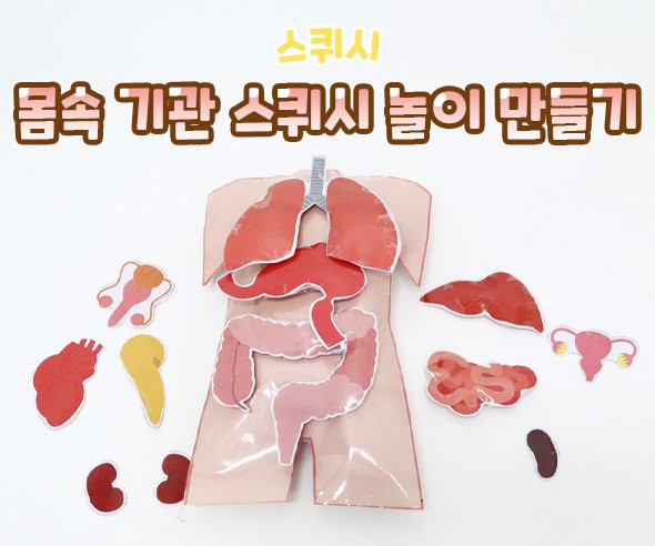 몸속 기관 스퀴시 만들기 놀이