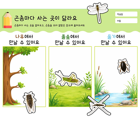 곤충마다 사는 곳이 달라요