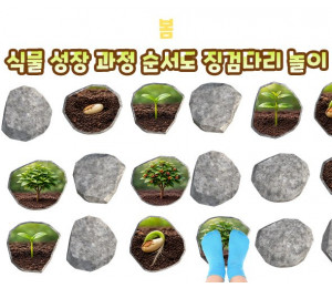 식물 성장 과정 순서도 징검다리 놀이