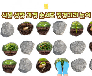 식물 성장 과정 순서도 징검다리 놀이