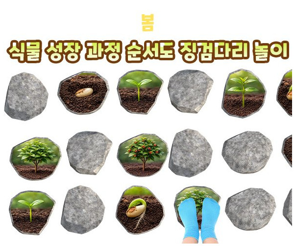 식물 성장 과정 순서도 징검다리 놀이