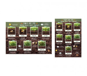 식물 성장 과정 순서도