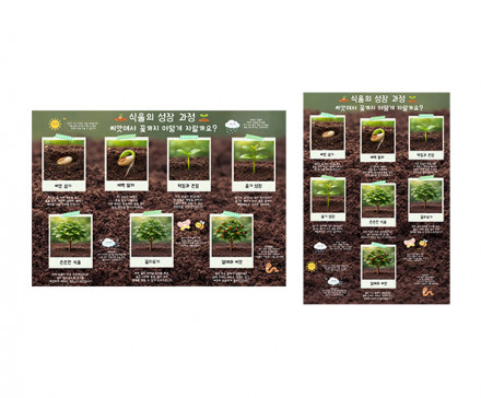 식물 성장 과정 순서도