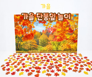 가을 단풍잎 놀이