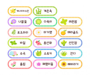꽃 이름표