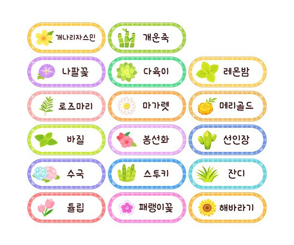 꽃 이름표