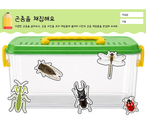 곤충을 채집해요