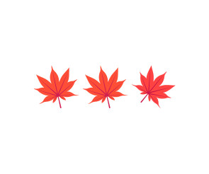 단풍잎