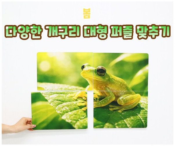 다양한 개구리 대형 퍼즐 맞추기