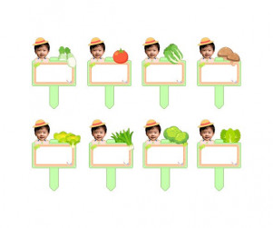 채소 푯말 화분 합성 이름표