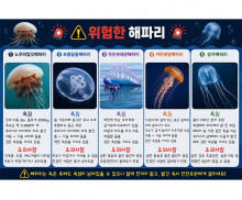 해파리 포스터