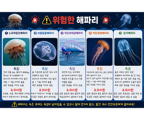 해파리 포스터