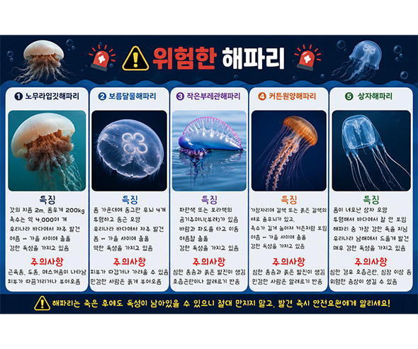해파리 포스터