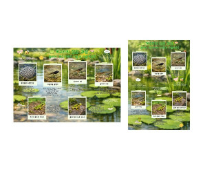 개구리 성장 과정 순서도