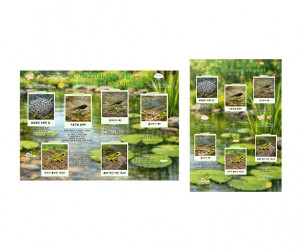 개구리 성장 과정 순서도